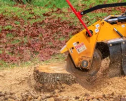 A.Levesque_strump griding example_ A.Levesque's Tree Care LLC stump grinding example
